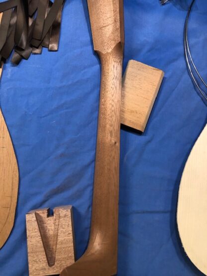 Martin style D18 with Blood Wood BInding - Image 8